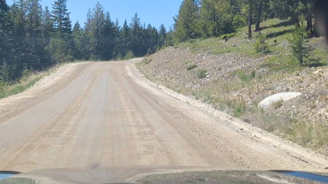 A community access road, dry and well graded, no defects.